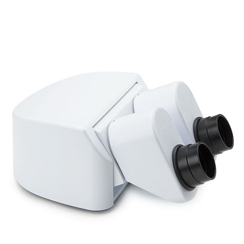 Euromex Stereokopf DZ.2020, ergo,  0-35°, o. Okulare (DZ-Reihe)