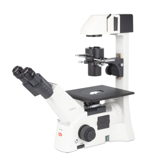 AE31E Binokular