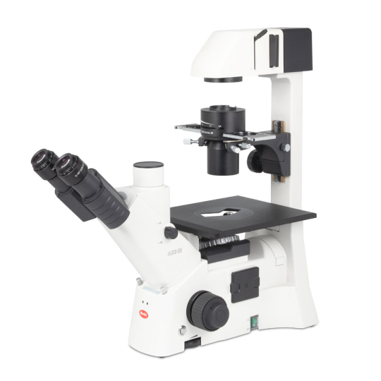 AE31E Trinokular