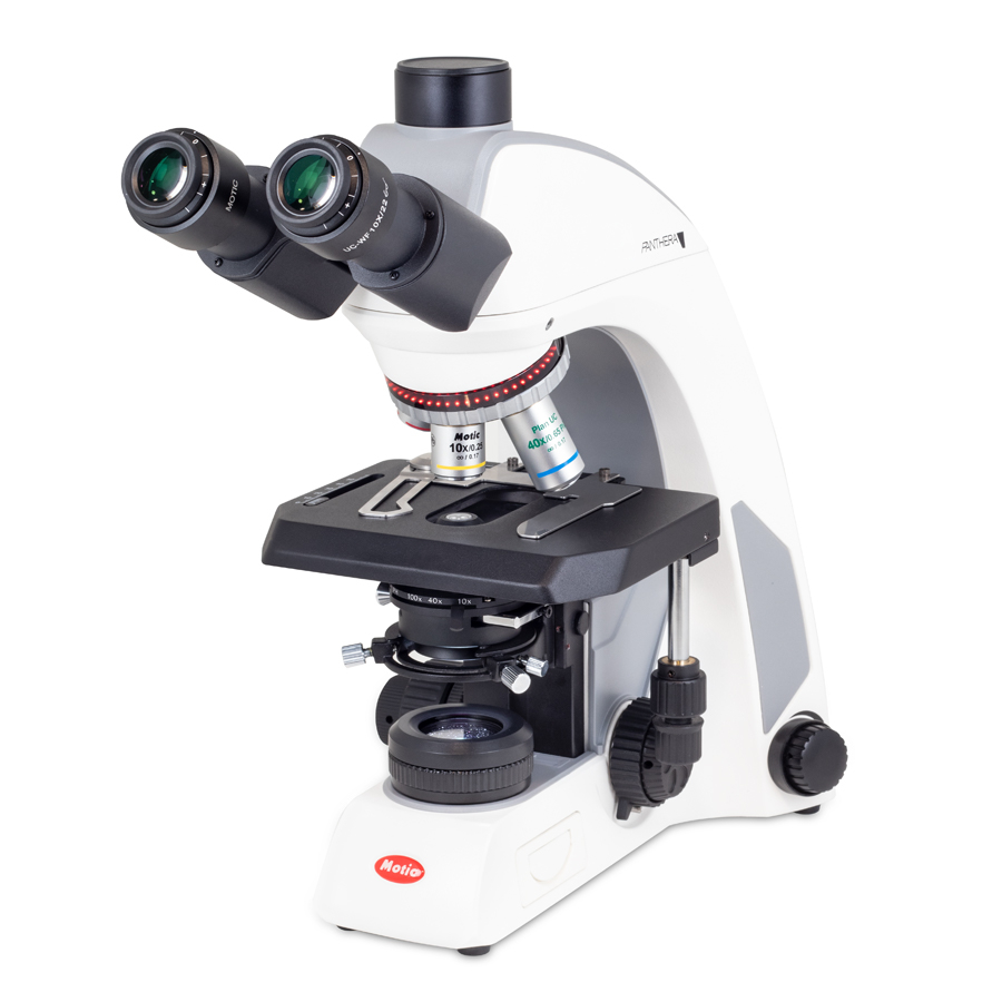 Panthera C2 Trino Phasenkontrast 400x