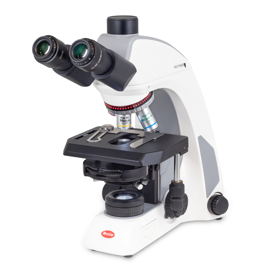 Panthera C2 Trino Phasenkontrast 400x Zernike